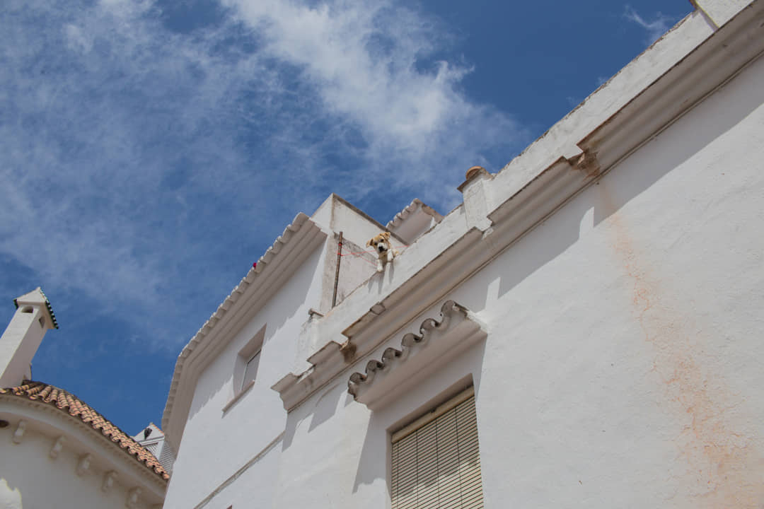Casa blanca en el pueblo de Ardales.