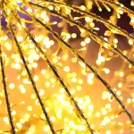 Luces de navidad 2024 Malaga